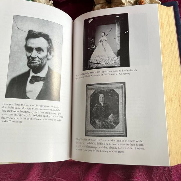 * 3 for $9 * 366 Days in Abraham Lincoln's Presidency: The Private, Political… - Picture 8 of 12